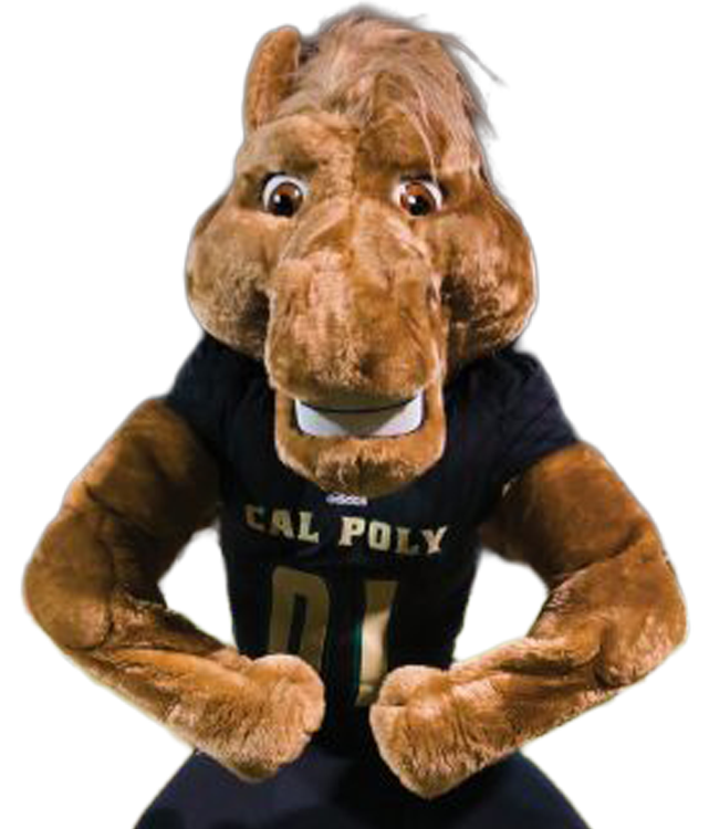 Athlete Image